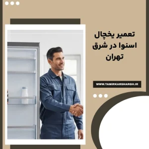 تعمیر یخچال اسنوا در شرق تهران