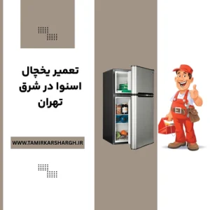 تعمیر یخچال اسنوا در شرق تهران