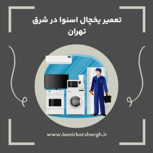 تعمیر یخچال اسنوا در شرق تهران