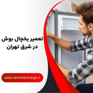 تعمیر یخچال بوش در شرق تهران