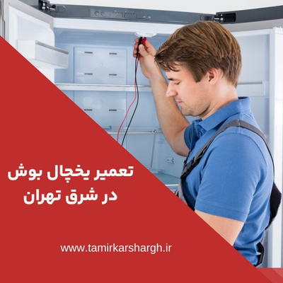 تعمیر یخچال بوش در شرق تهران