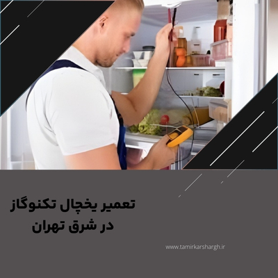 تعمیر یخچال تکنوگاز در شرق تهران